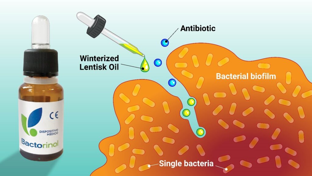 Can Winterized Lentisk Oil disrupt bacterial biofilms to help eradicating AOM and other infections?