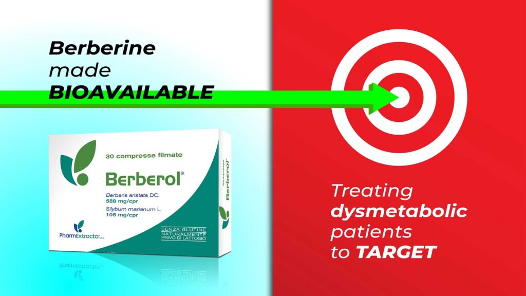 Berberol®: Berberine made bioavailable to treat dysmetabolic patients straight to target